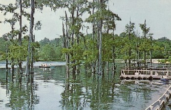 Merritt's Mill Pond Postcard